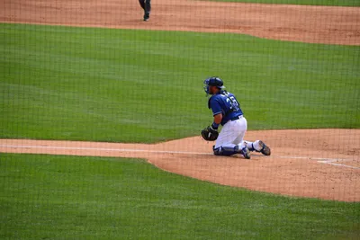 DSC_1542 (Large).JPG